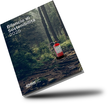 Bilancio di Sostenibilità 2024 - EMME Antincendio Srl