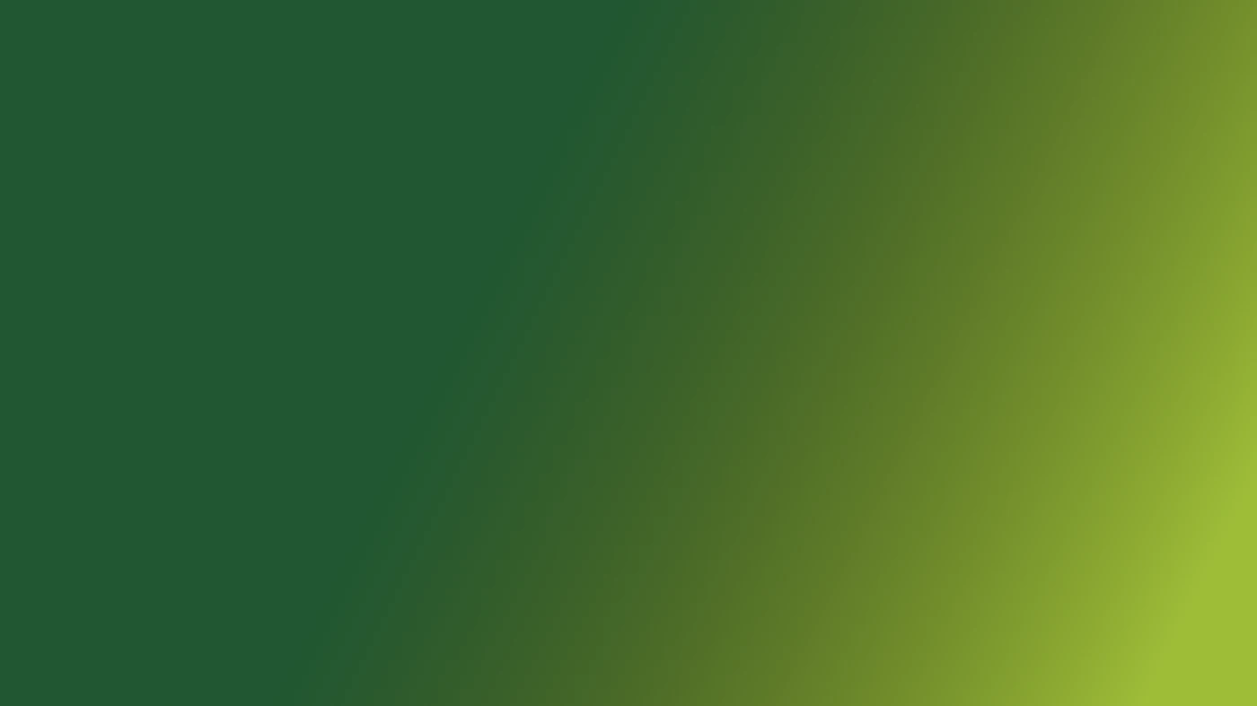 https://www.emme-italia.com/sites/default/files/revslider/image/corso-batterie-auto-elettriche.webp