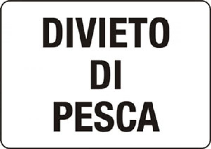 CARTELLO IN ALLUMINIO FORMATO MM 300X200 DIVIETO DI PESCA (1347B)