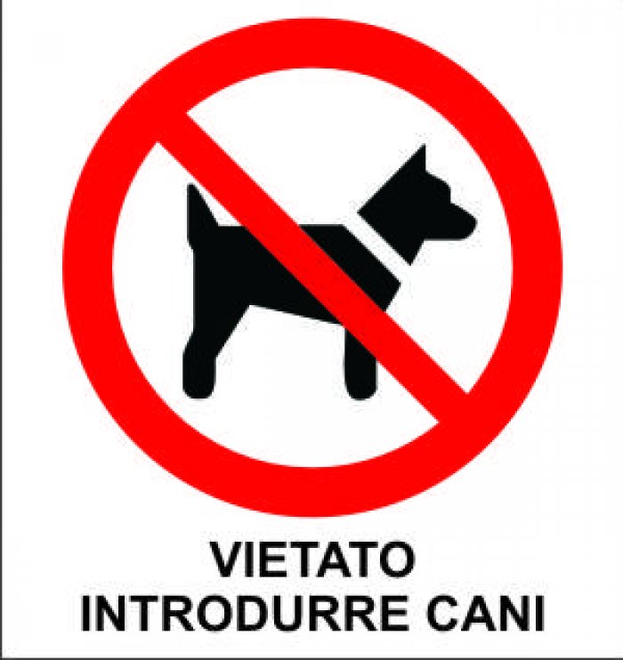 CARTELLO IN ALLUMINIO FORMATO MM 330X350 VIETATO INTRODURRE CANI (616B)