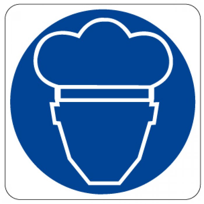 PITTOGRAMMA USO COPRICAPO (904)