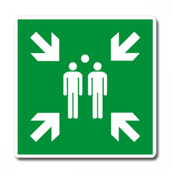 PUNTO DI RITROVO NORMA UNI EN ISO 7010 (E0071724)