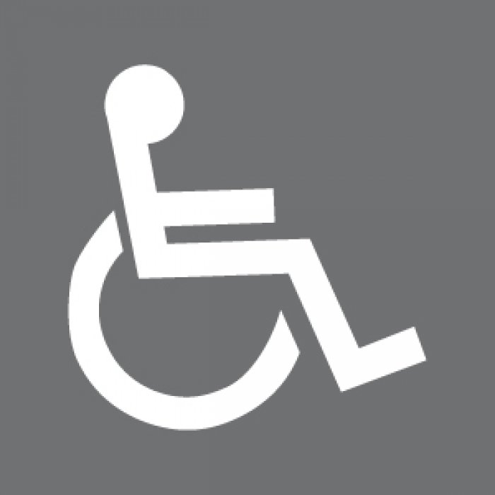 DIME DI FERRO FIGURA "DISABILE" (VTD130)