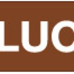 ETICHETTA AUTOADESIVA FORMATO MM 330X70 TOLUOLO (2406)