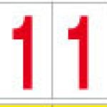 (NUMERO SINGOLO ORIZZONTALE) 10 PZ (26021BR)