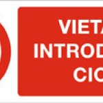 VIETATO INTRODURRE CICLI RETTANGOLARE (782)