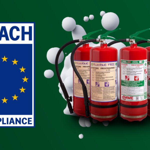 The REACH Regulation